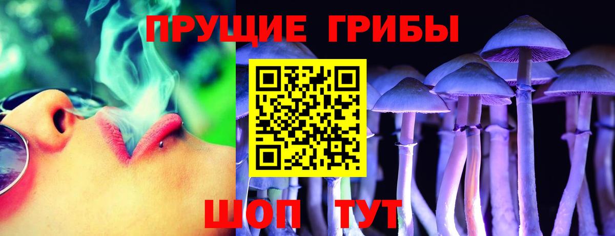 Псилоцибиновые грибы MAGIC MUSHROOMS Железноводск